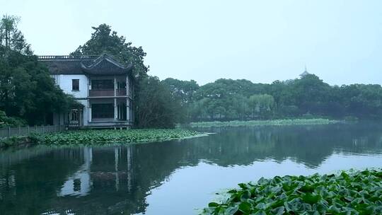 杭州西湖景区花港观鱼雨天