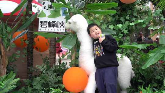 小朋友在碧峰峡野生动物园游玩拍照