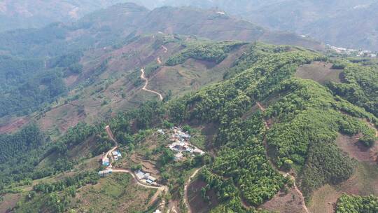 航拍 山景 古树 绿色 村落 山区