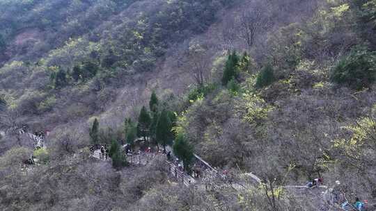 景区俯瞰山林栈道攀升游客左移