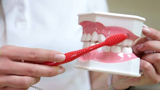 女医生在用牙刷刷假牙视频素材模板下载