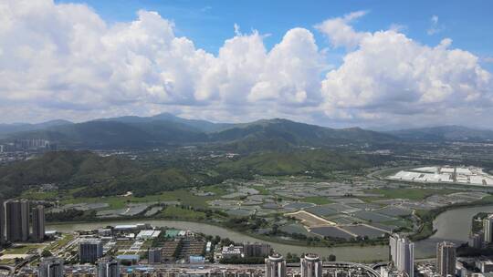 深圳河 水系 香港 交界处 水塘 红树林 湿地视频素材模板下载