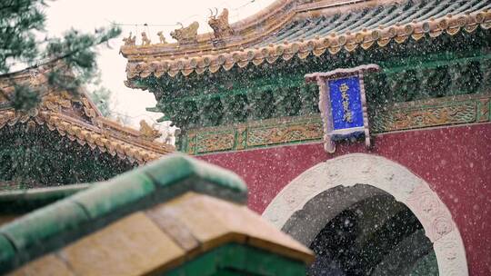 升格初春北京北海公园中式园林里飘落的雪花