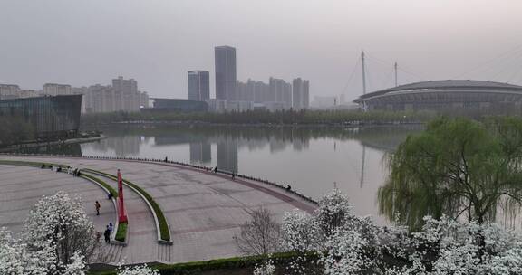 洛阳植物园樱花万物复苏春天公园道路航拍