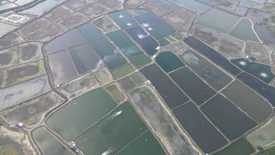 广东海水养殖基地航拍