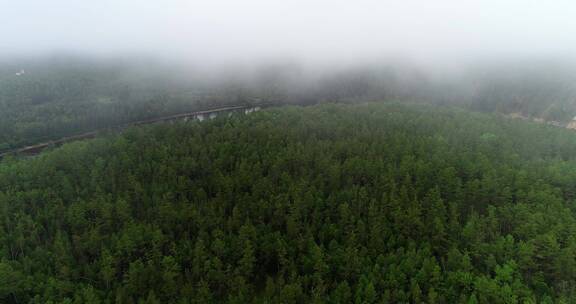 航拍大兴安岭激流河流域山林云海