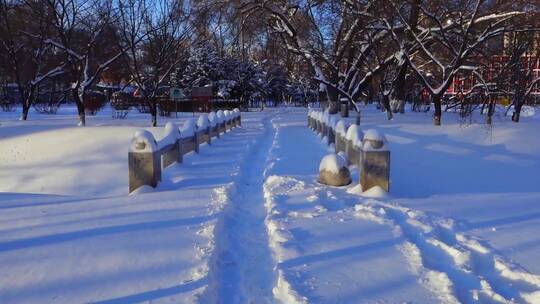 冬天公园老树小河雪景