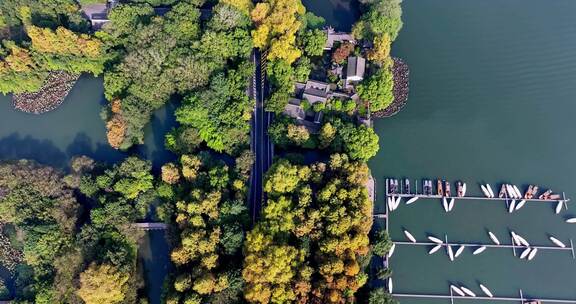 中国杭州西湖杨公堤秋日美景