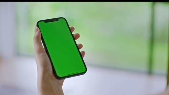 手机绿屏抠像视频素材模板下载