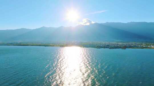 洱海 洱海航拍 海鸥视频素材模板下载