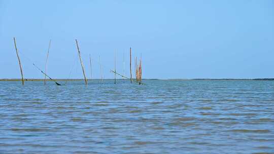 湛江海边渔场渔民海上木桩