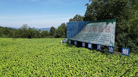 三农乡村振兴素材：烟草田农田大田航拍风景