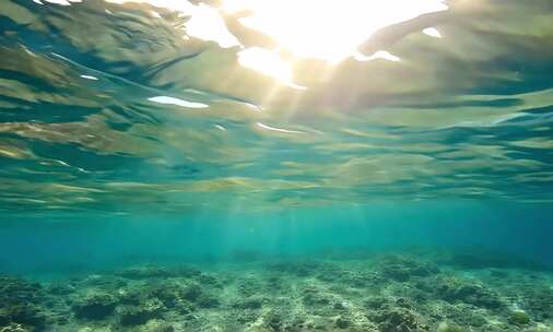 清澈海水下的海底珊瑚礁景观