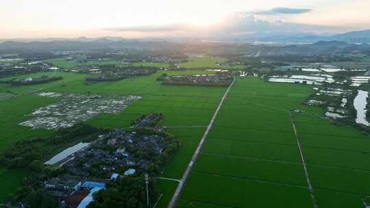 中国侨乡广东台山乡村稻田山脉山峰日出航拍