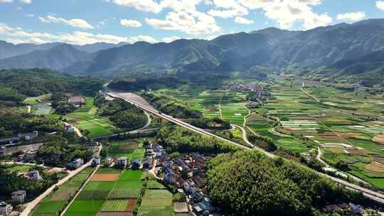 脱贫攻坚乡村振兴有机水稻乡村建设