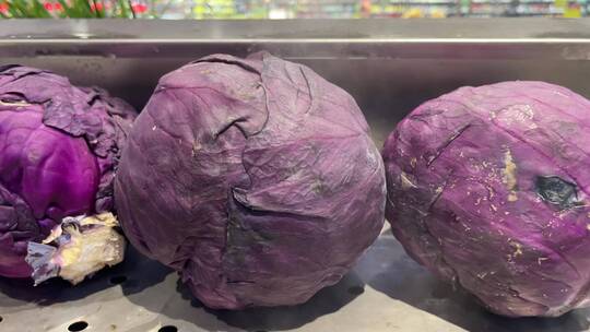 紫色包菜蔬菜