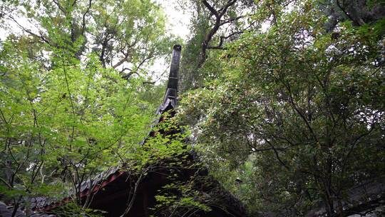 杭州西湖景区岳王庙建筑