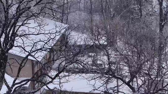 秦岭山里雪后村庄农家小院