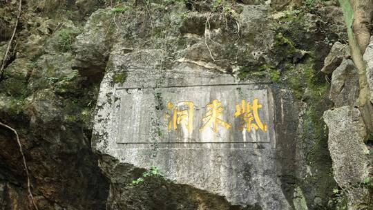 杭州西湖玉皇山风景