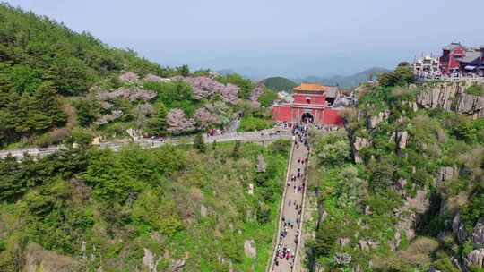 飞阅泰山十八盘