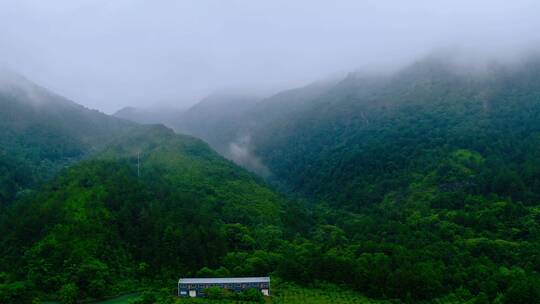 清晨云海中的群山