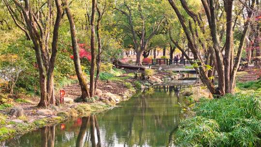 上海秋天风景 共青森林公园秋景