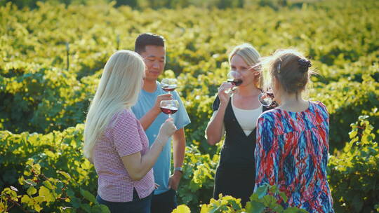 游客在葡萄园品尝葡萄酒
