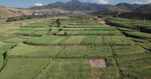 航拍西北农村梯田景象