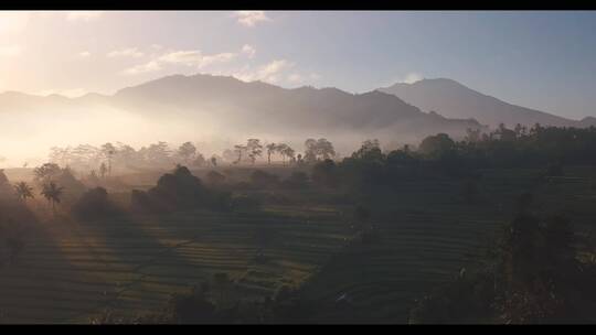 黎明时分农田的风景