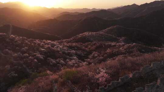 航拍北京龙泉峪长城日出花开美丽风光