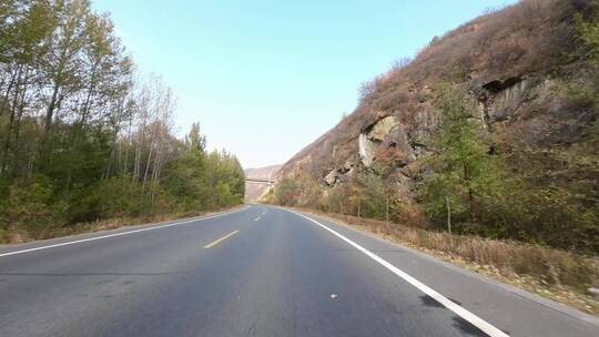 秋天城市道路开车第一视角  记录仪视角