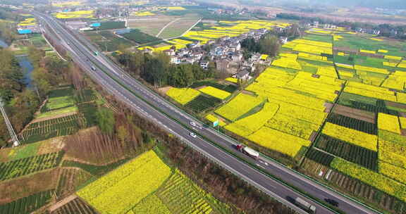 航拍高速公路穿过四川春天的油菜花地