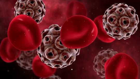 血液细胞和人体的病毒细胞