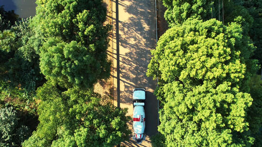 航拍阳光照耀下的乡村国道林荫道路