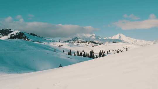 雪山被雪树覆盖