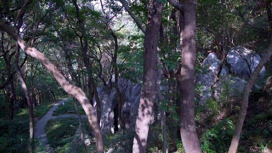 杭州凤凰山月岩石窟群4K实拍视频