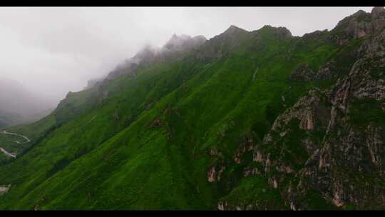 山川云雾 高山 森林植被