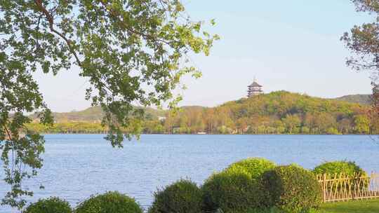 杭州西湖春天风景