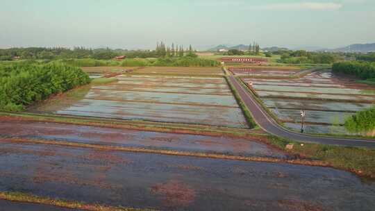 良渚古城遗址公园春耕