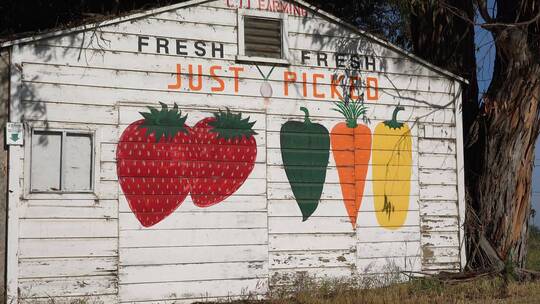 木屋墙壁上画的草莓蔬菜