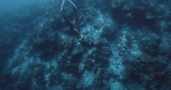 女子自由潜水员带着鳍在清澈的蓝色海洋中深