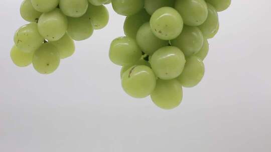绿葡萄微距特写素材