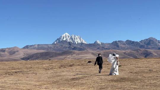 高原枯黄草原雪山拍情侣写真婚纱慢动作5