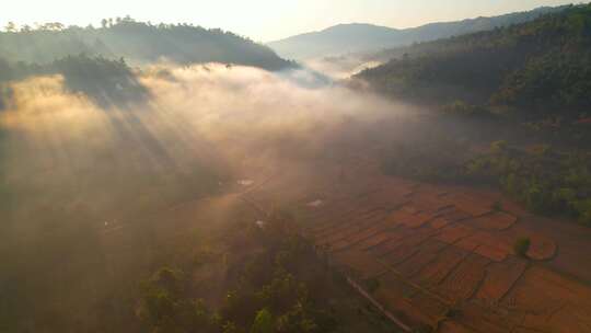 旱季农民农田的鸟瞰图。早晨美丽的风景