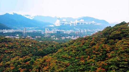 山林间俯瞰城市全景