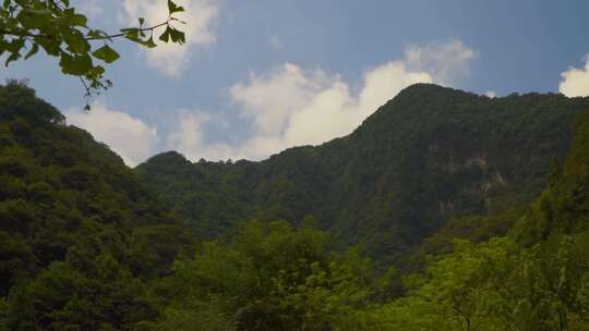 森林山脉云雾树林大自然原始森林天空风景