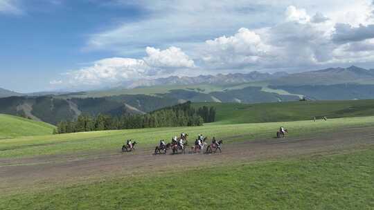 新疆伊犁喀拉峻草原奔腾的马