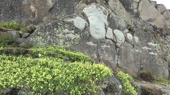 岩石上雕刻的佛像特写视频素材模板下载