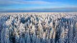 东北长白山冰雪林海雾凇森林雪景自然风景高清在线视频素材下载