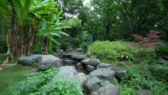 武汉东湖磨山景区盆景园